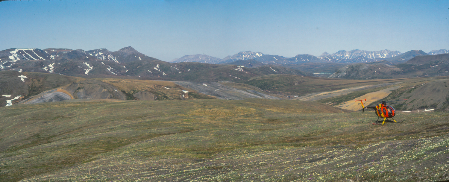 6.2.1981 Red Dog prospect