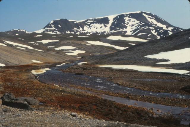 6.2.1981 Red Dog Creek, Deadlock Mtn.